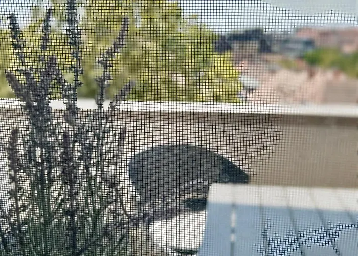 Апартаменты Roosevelt Riverside Apartmans *